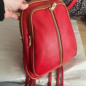 Valentina backpack purse.